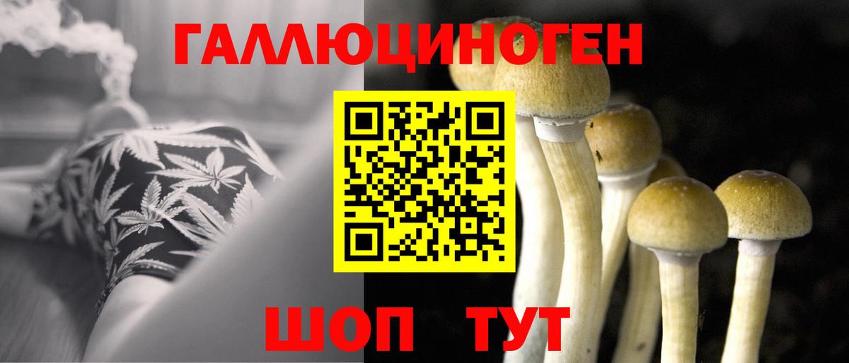 Псилоцибиновые грибы Magic Shrooms  Вход с VPN  Димитровград 